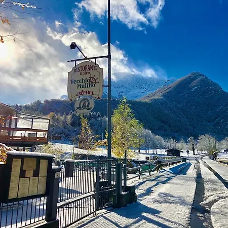 Vecchio Mulino Starsbox 엔트라크